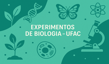 Imagem Ensino Médio